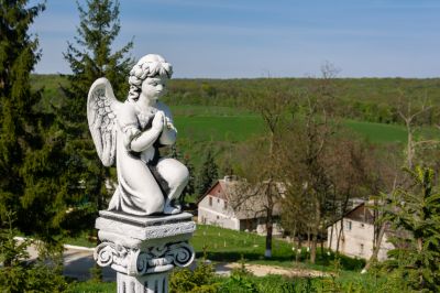 Extend the Lifespan of the Concrete Statue!